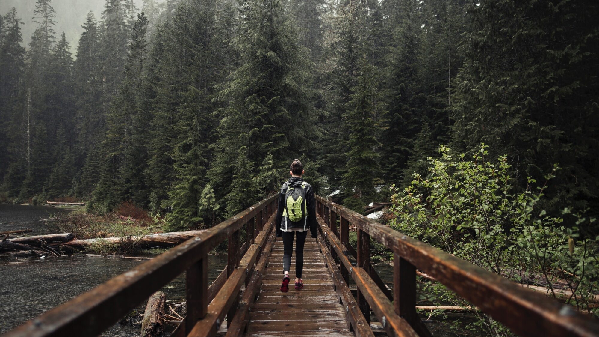 Olympic National Park