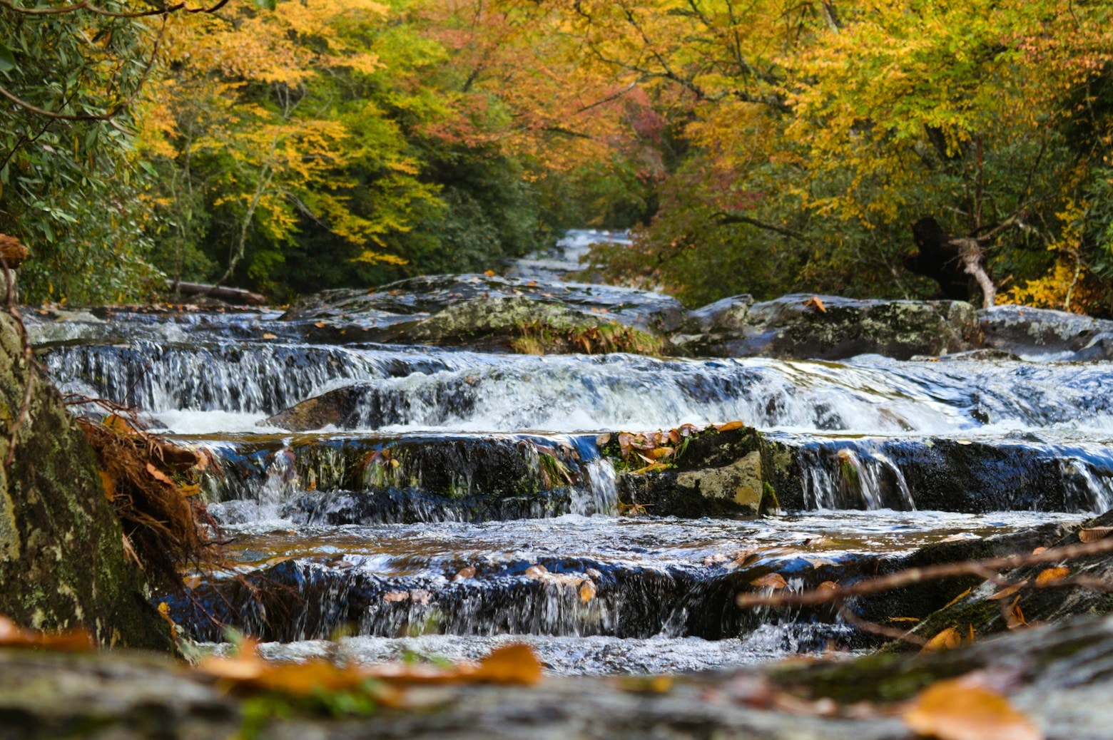 Great Smoky Mountains