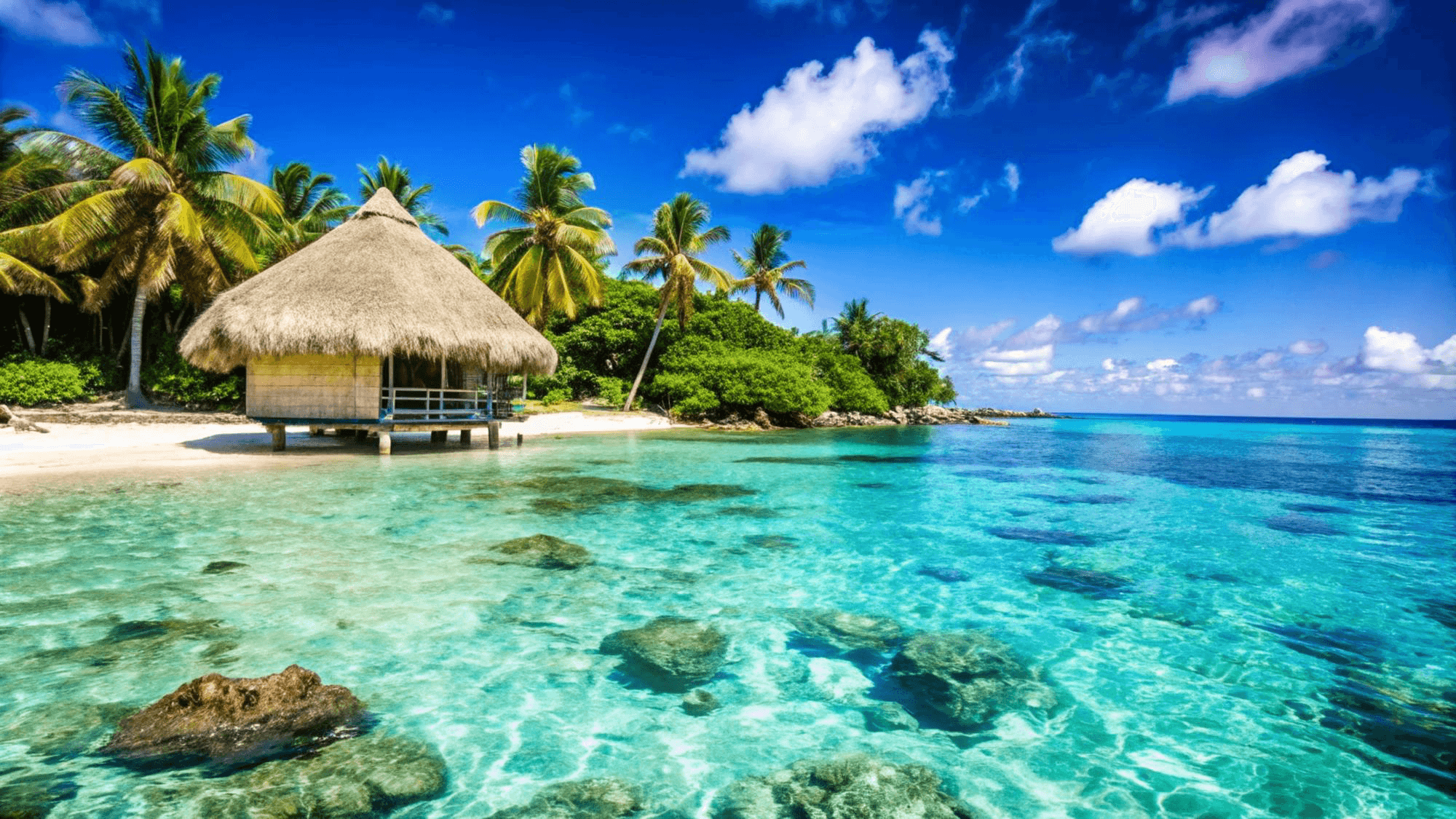 Paradise Island