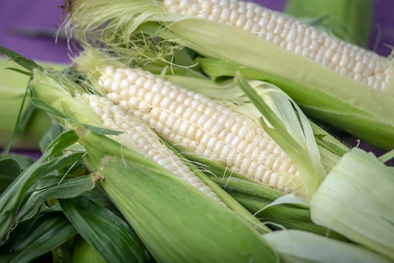 Brittingham's Produce