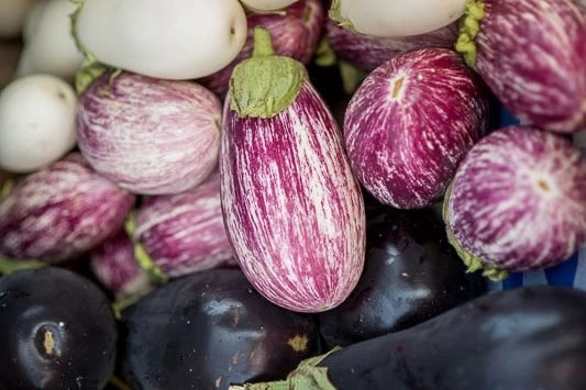 Adkins Produce