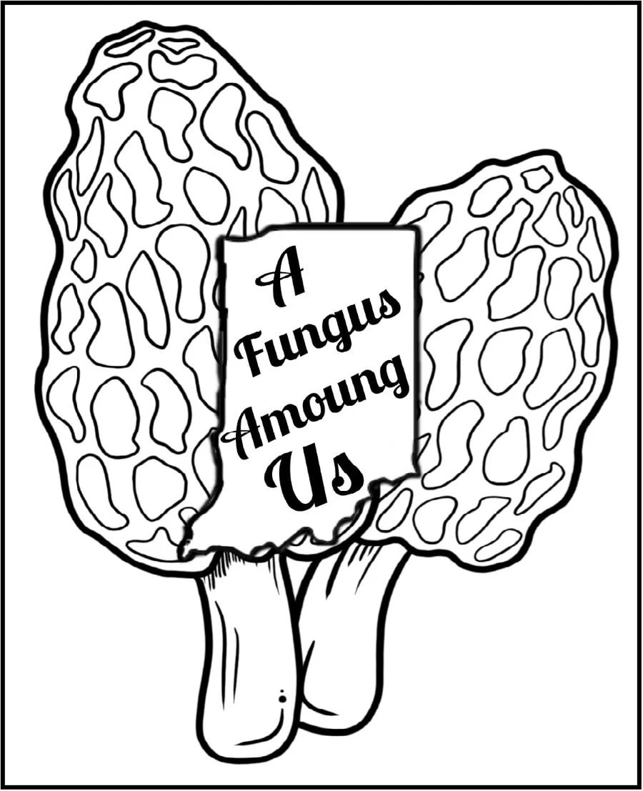 A Fungus Amoung Us
