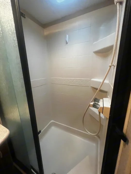 Shower stall with handheld showerhead and corner shelving