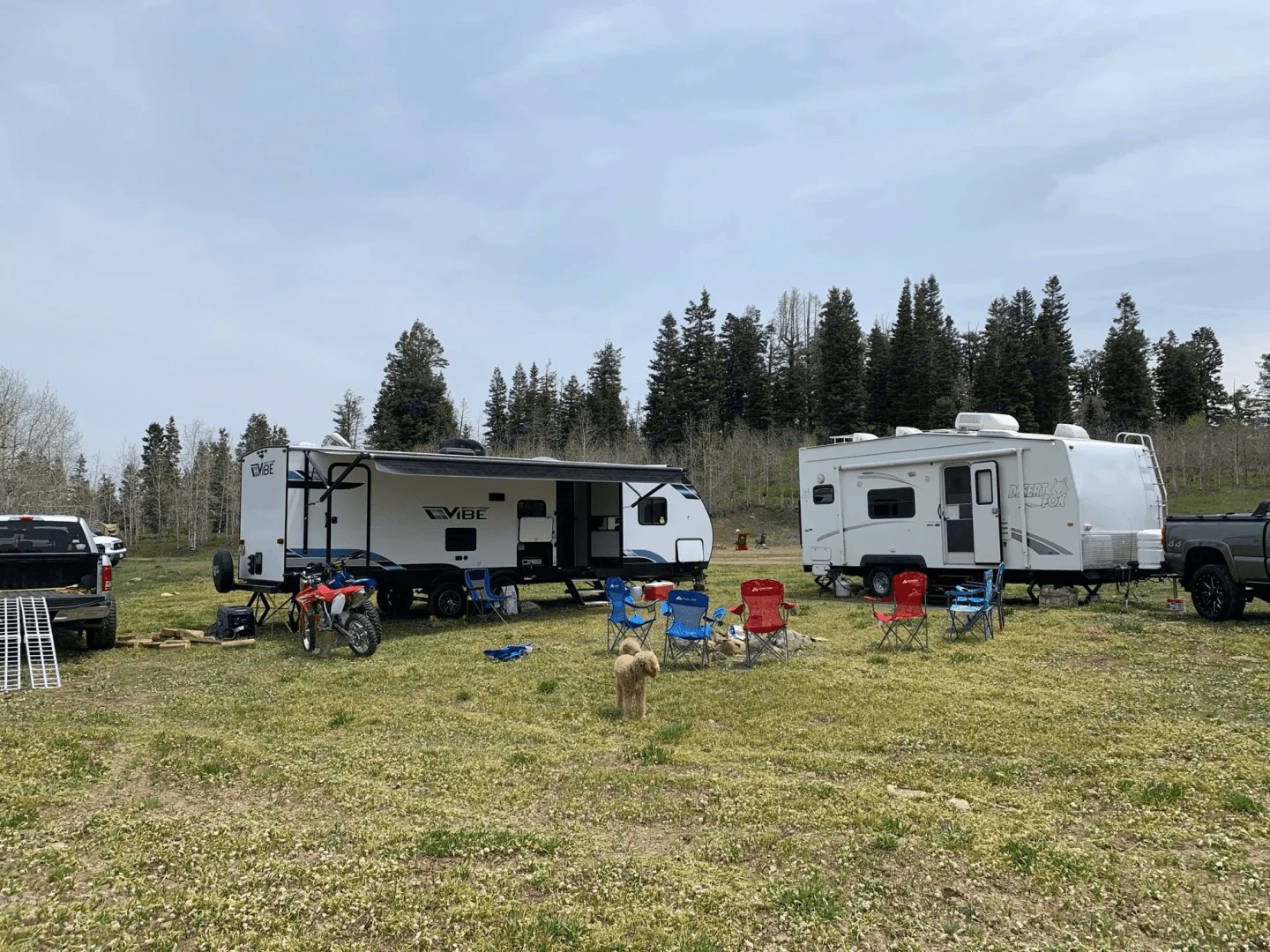 Campers parked side by side in a grassy field