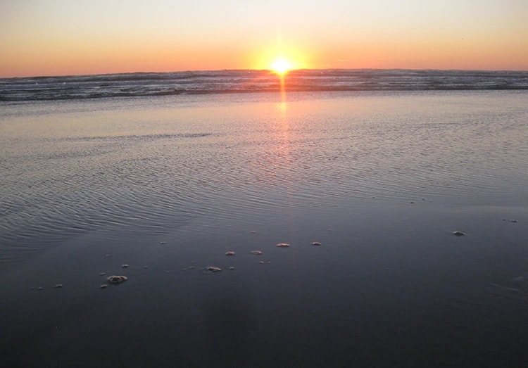 Grayland Beach