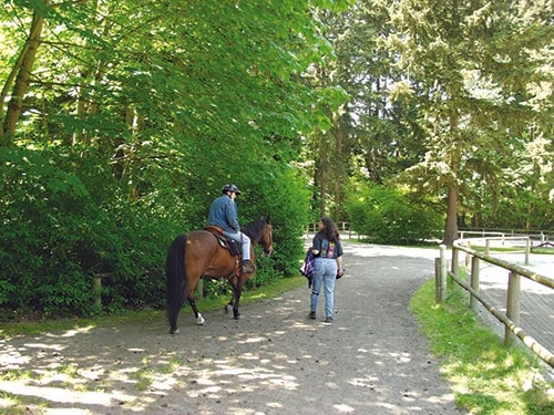 Bridle Trails