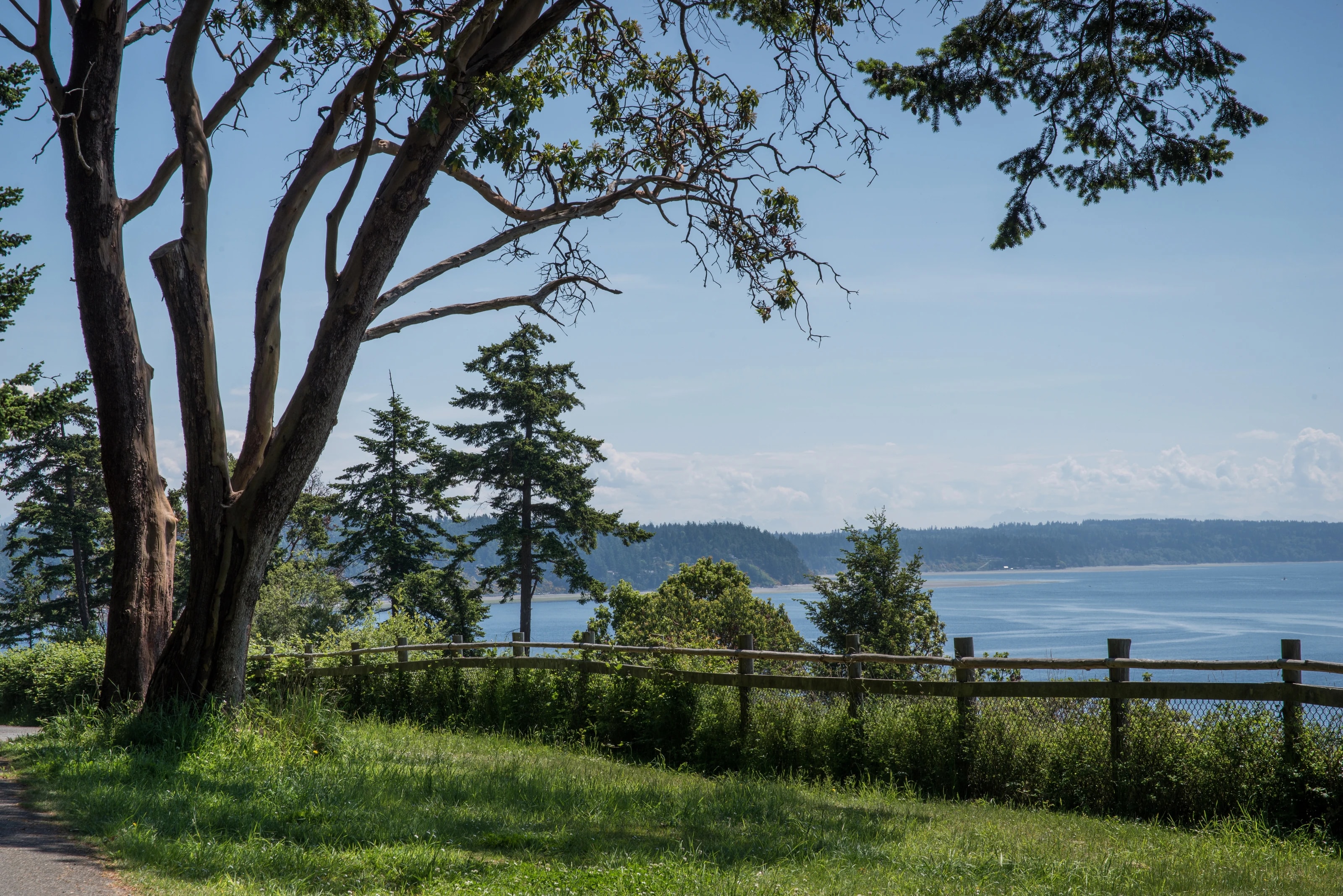 Camano Island