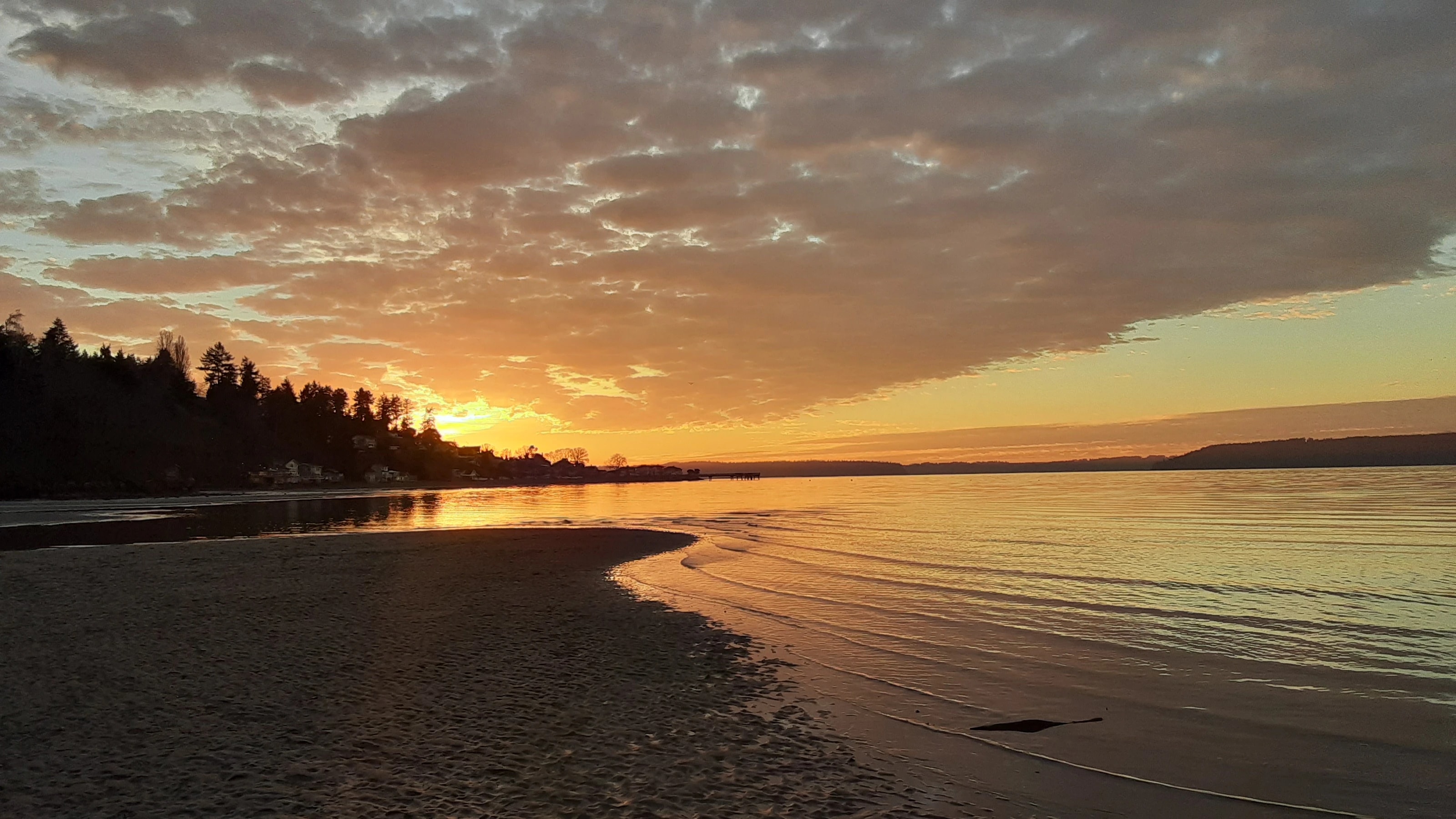 Dash Point