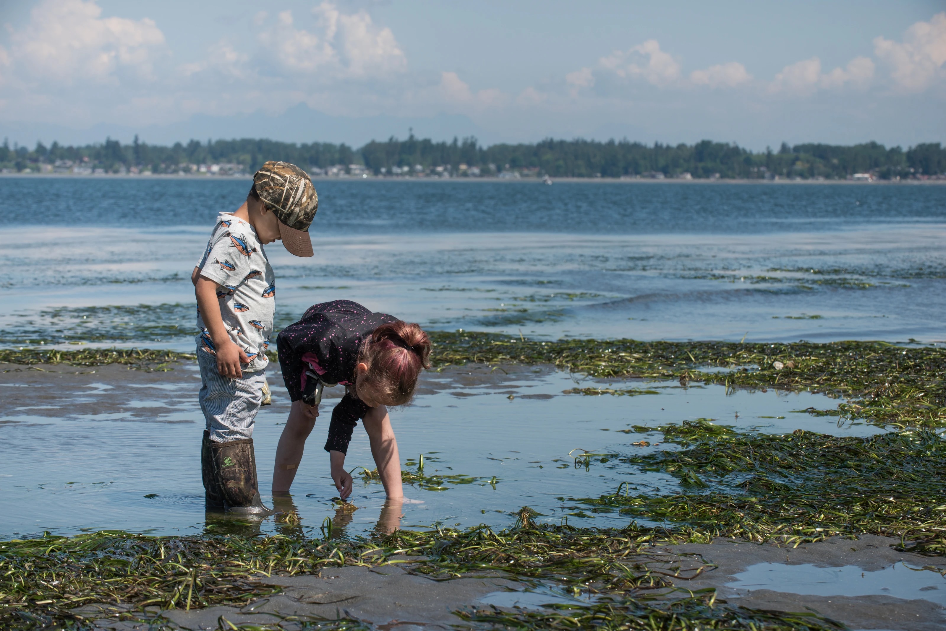 Birch Bay