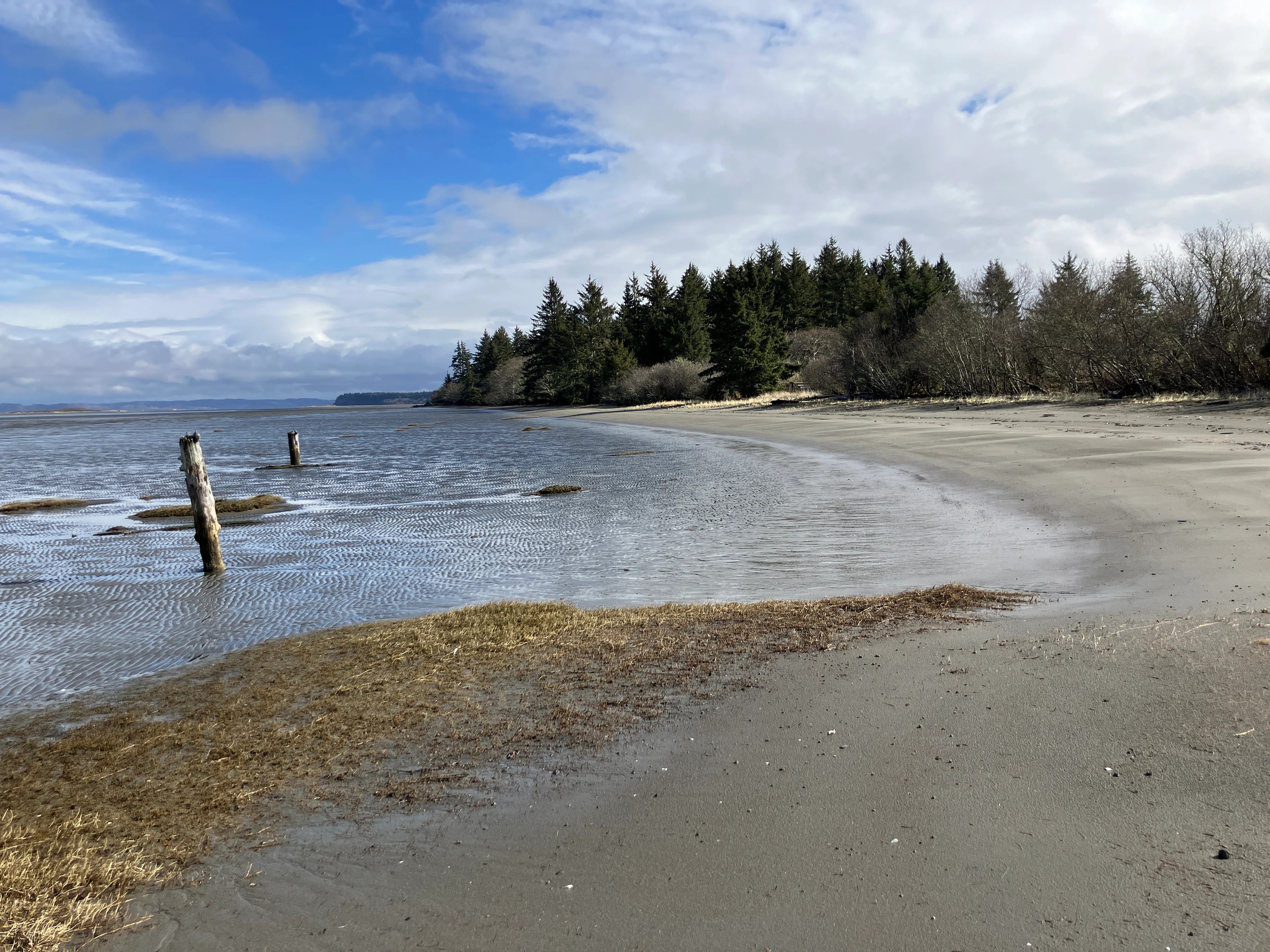 Bottle Beach