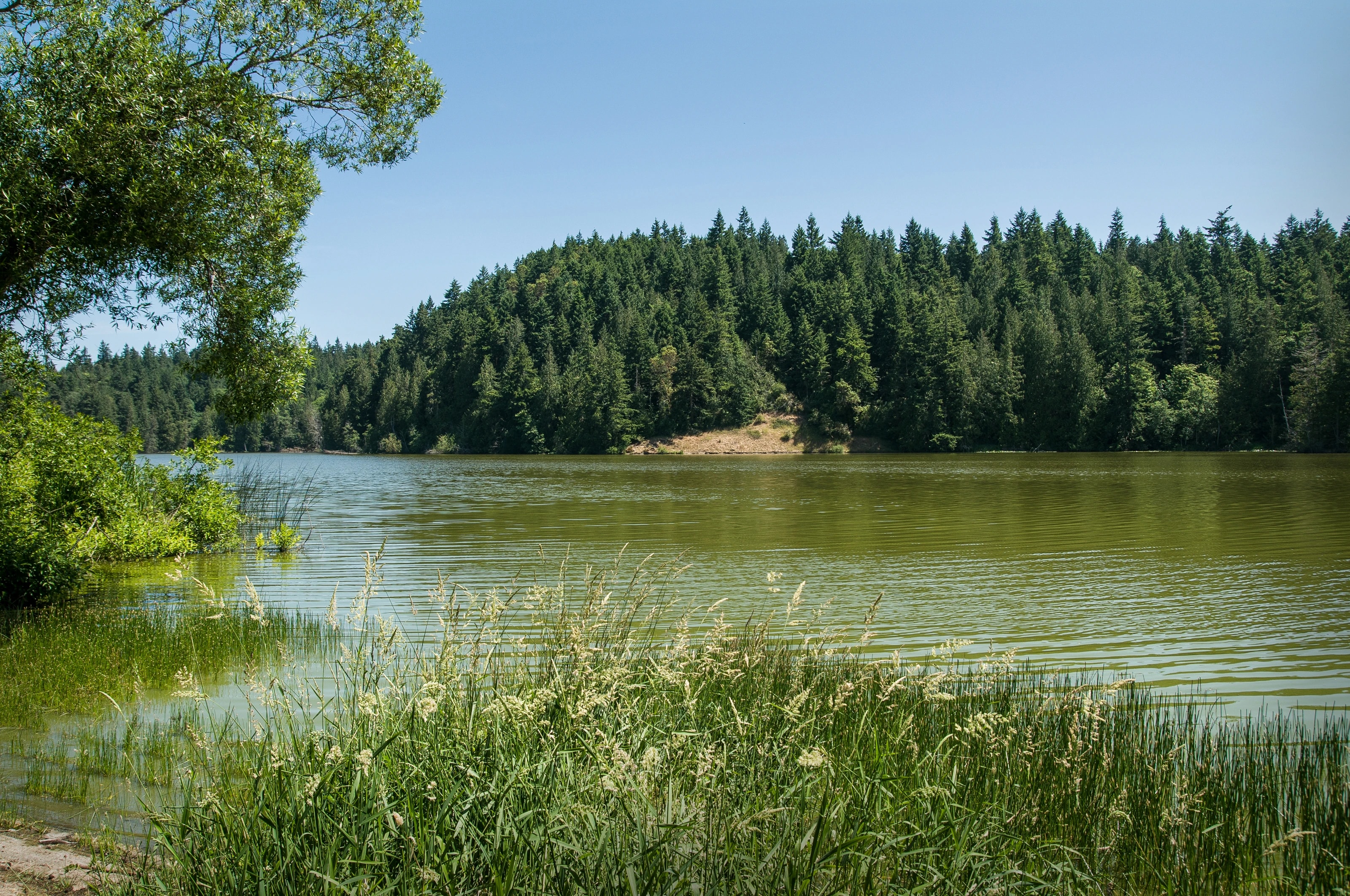 Anderson Lake