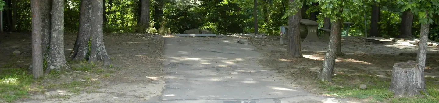 A06