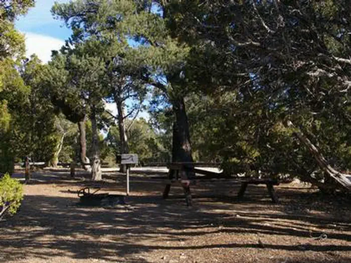 Ward Mtn. Campground (murray Summit)