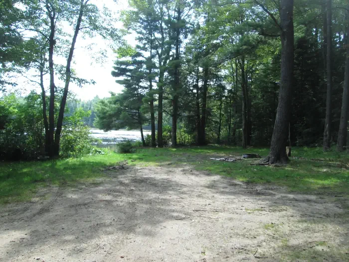 Triangle Lake Campsites