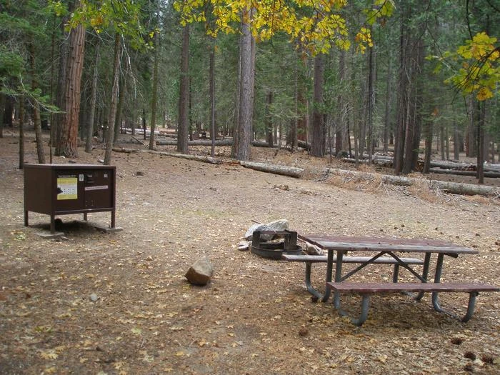 Site: 61