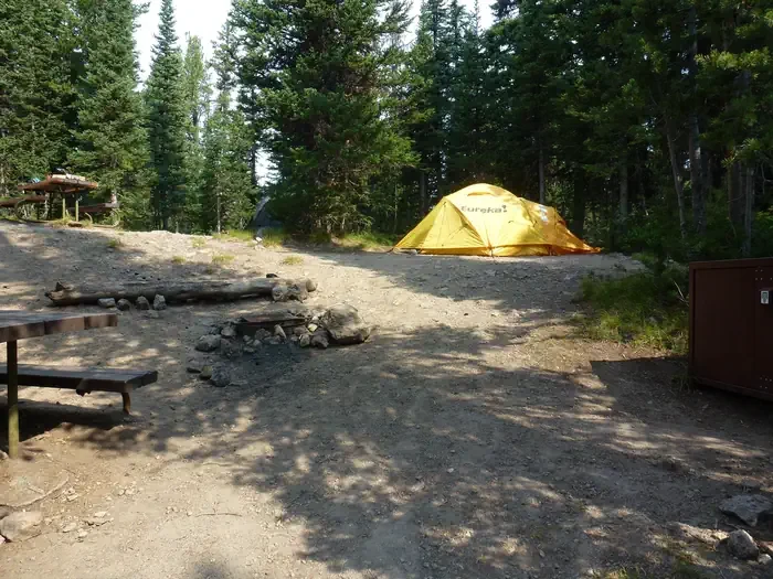 Lewis Lake site #80