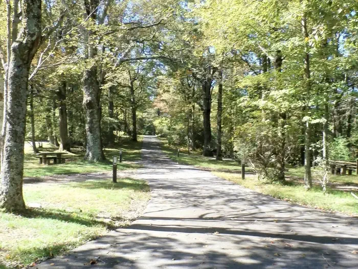 Doughton Park Campground