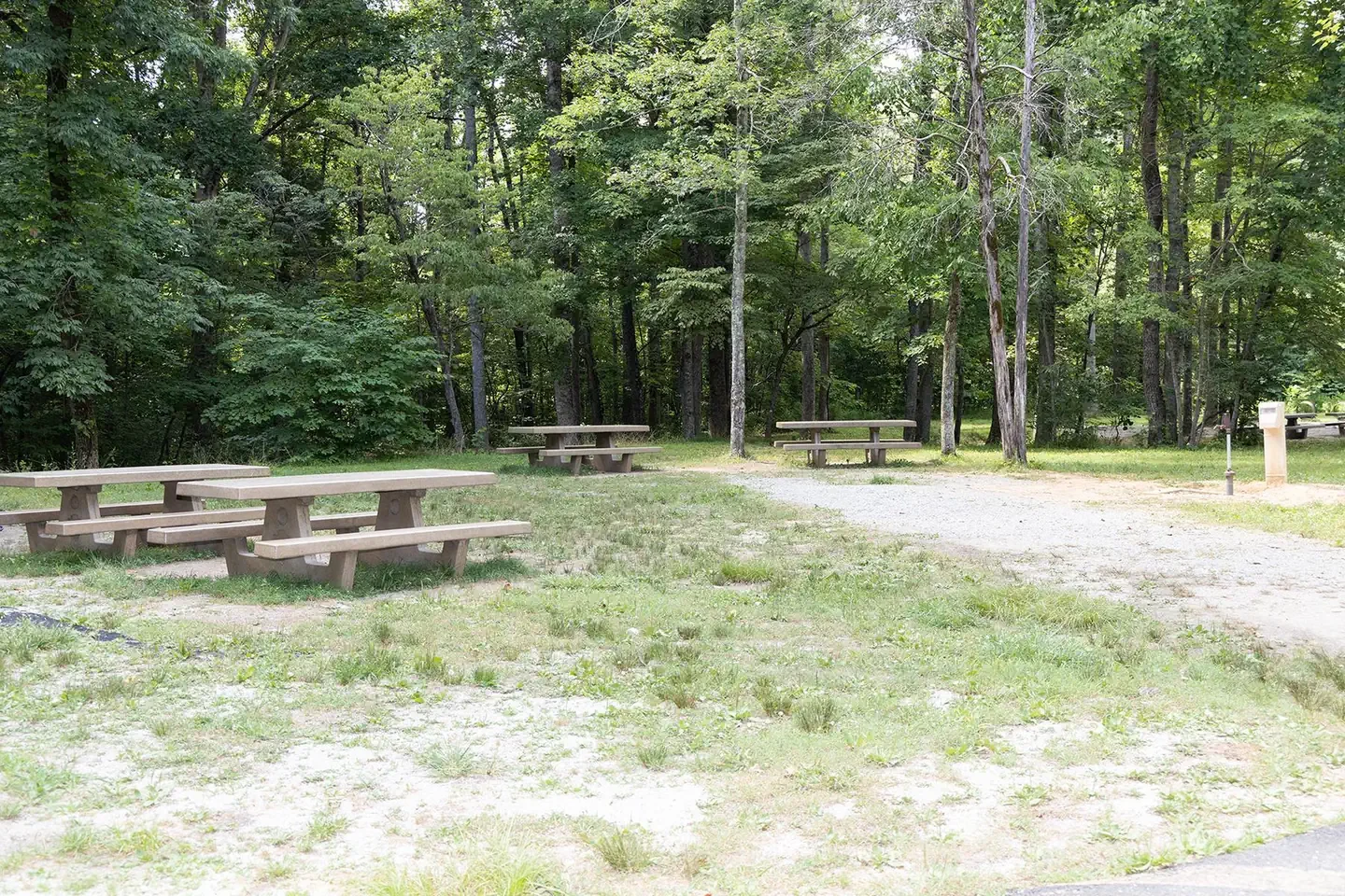 Maple Springs