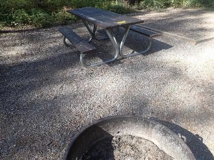 A61