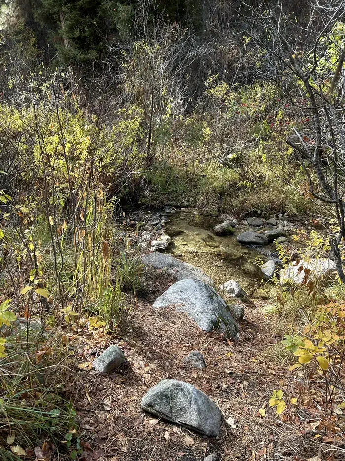 Bad Bear Campground