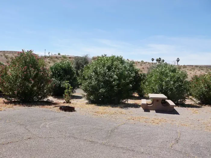 Site 51