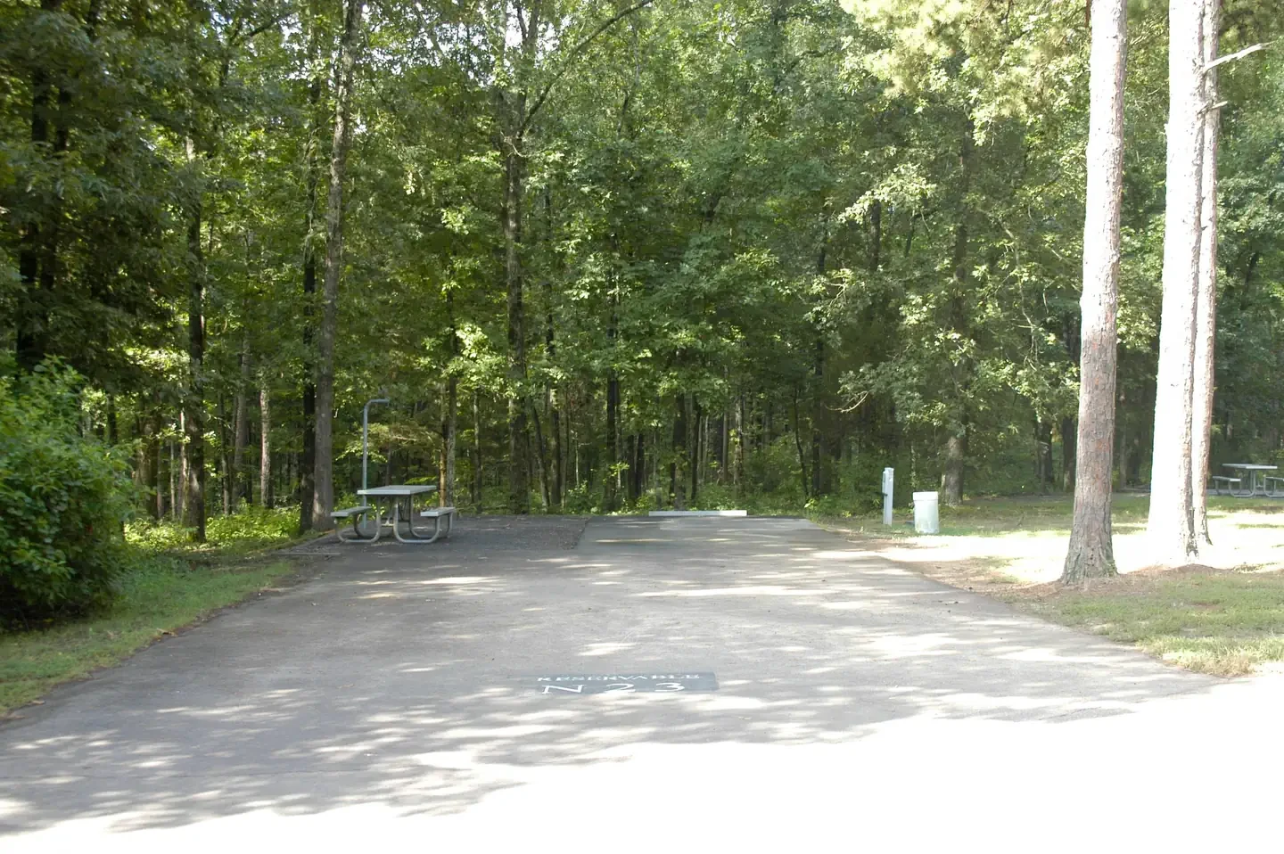 N23