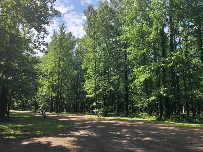 Pickensville Cg (pickensville Al)