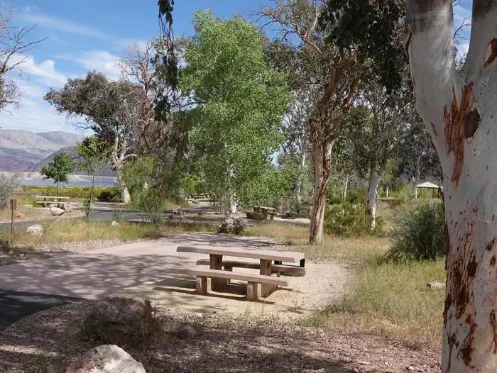 Site 86