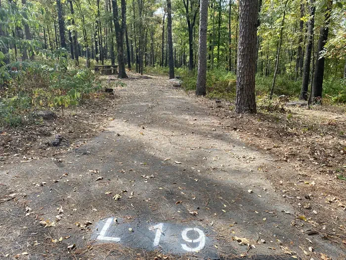 L19