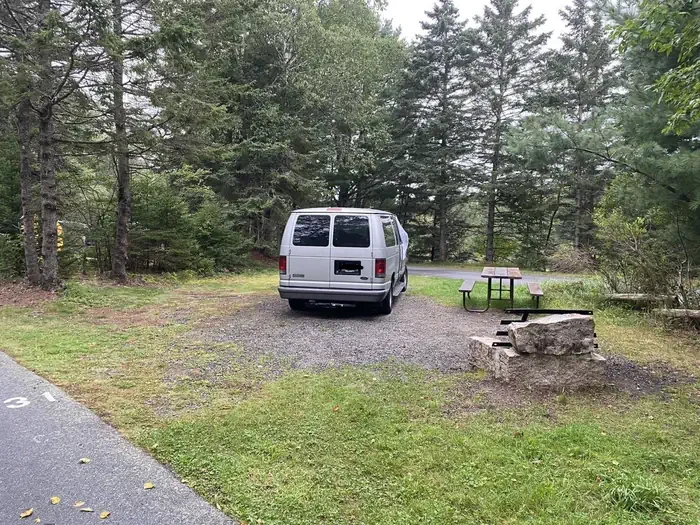 C31