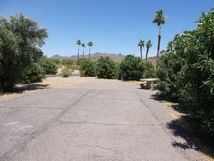 Site 4