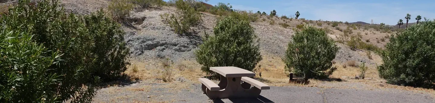 Site 5