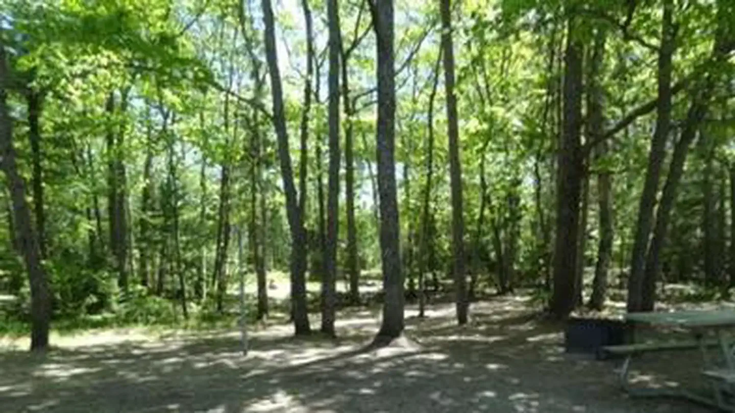 Bay View (Hiawatha National Forest, MI)