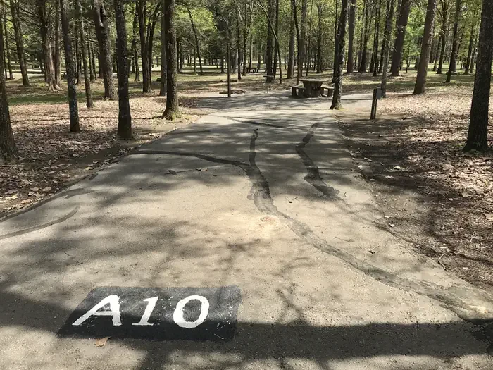 A10