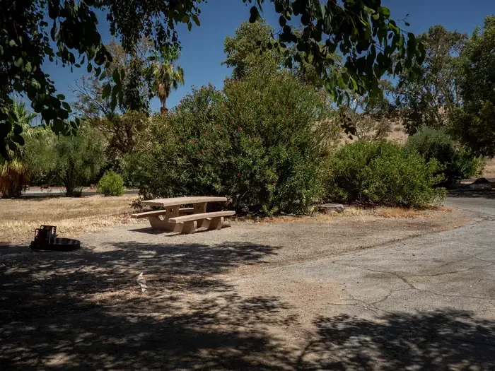 Site 32