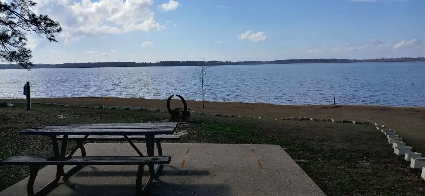 62
