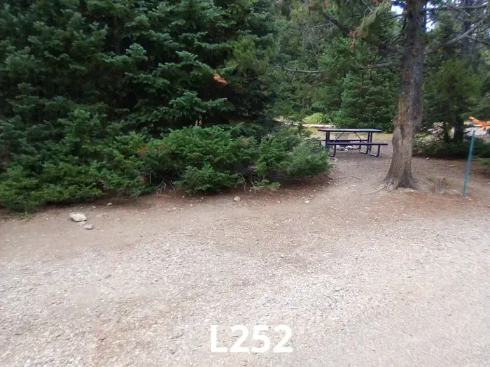 252