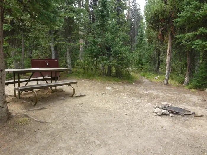 Lewis Lake site #76