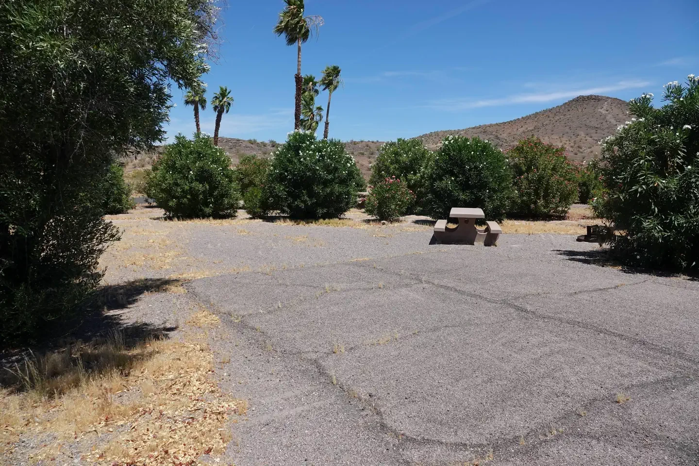 Site 4