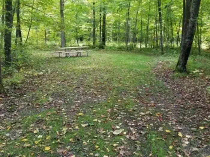 S38