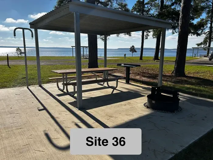 36