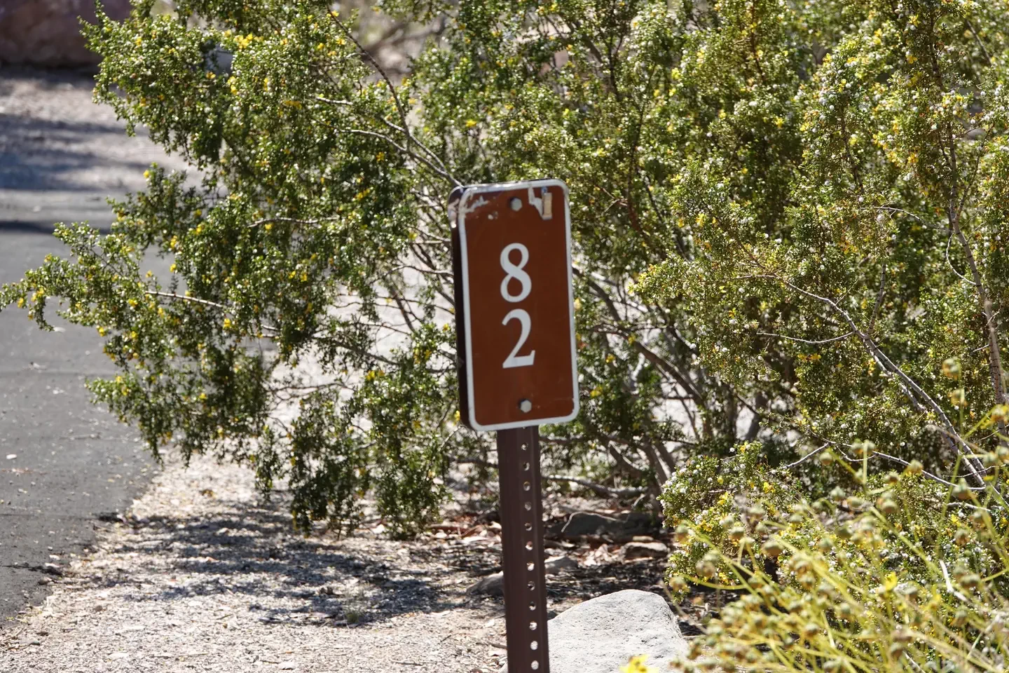 Site 82