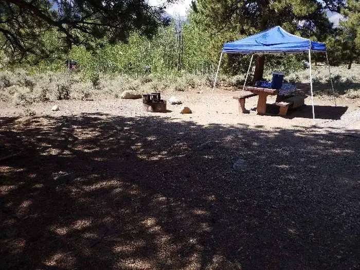 E006