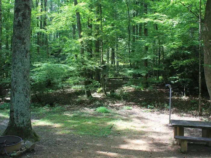 B32