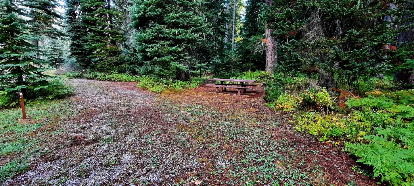 Phelps Creek Campground