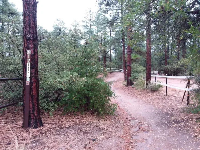 Alto Pit OHV Campground
