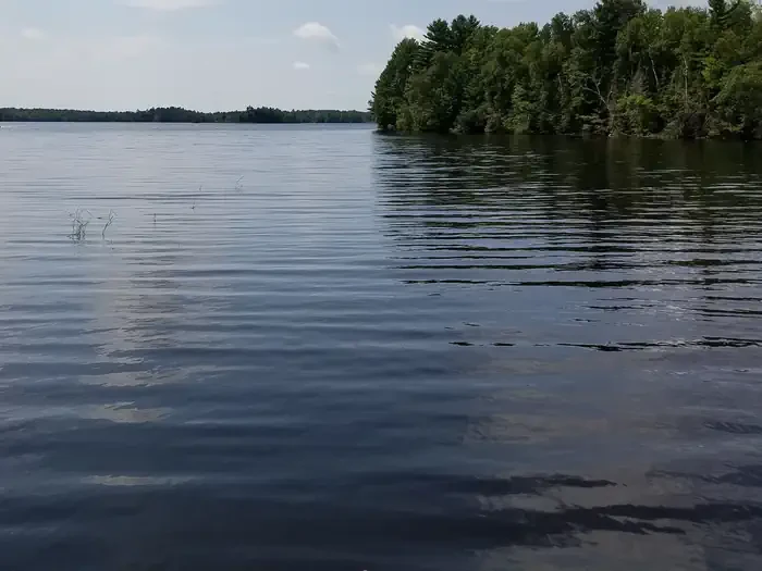 Moose Lake