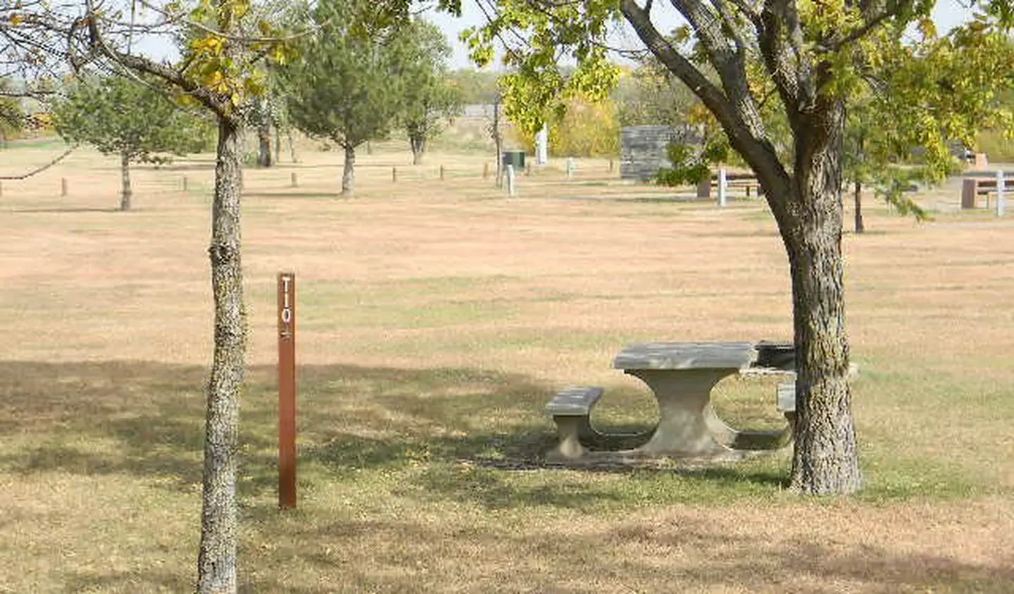 T10
