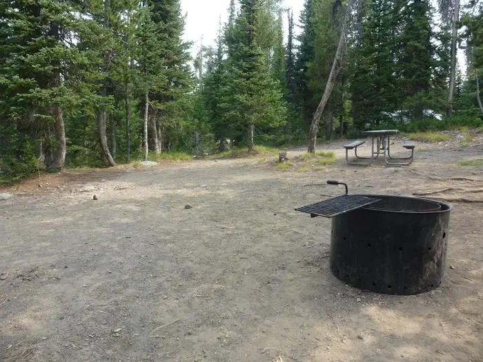 Lewis Lake site #30