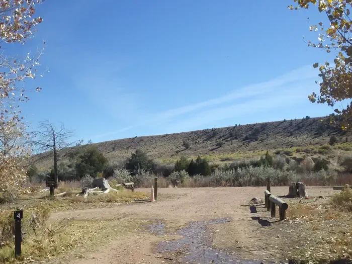 Site 4